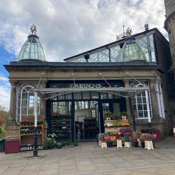 Buxton Pavillion Gardens is Open