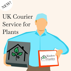 UK Courier Service for Plants