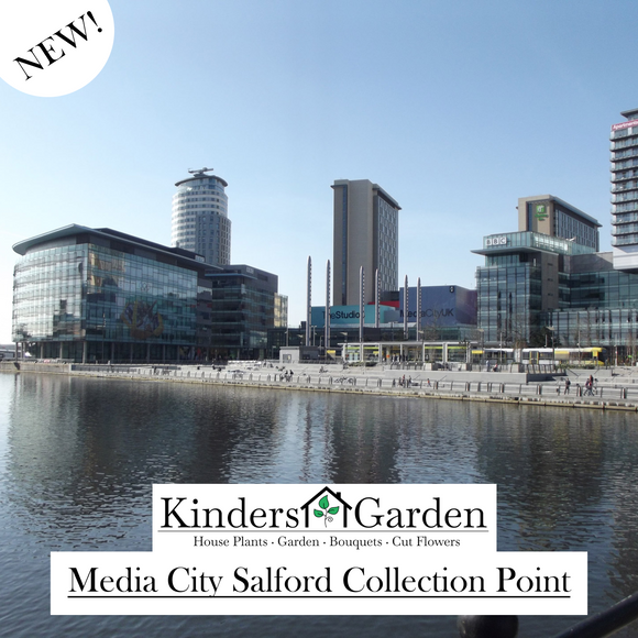 Salford Media City Collection Point