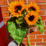 Sunflowers Cut Flower