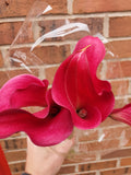 Calla Lily Cut Flower