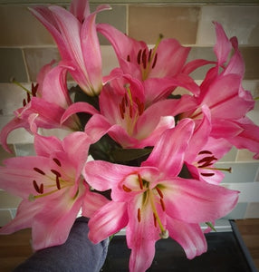 Oriental Scented Lilies Cut Flower