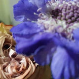 Wild Flower Style Hand Tied Bouquet